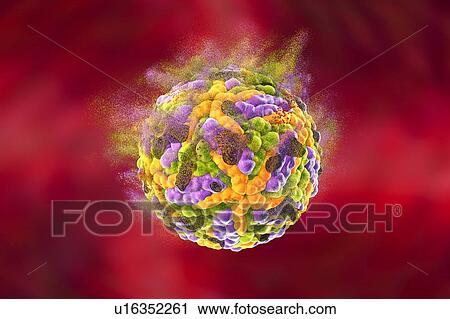Stock Image - Destruction of Zika virus, illustration. Conceptual image for Zika fever treatment and prevention.. Fotosearch