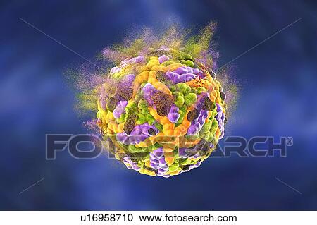 Stock Image - Destruction of Zika virus, illustration. Conceptual image for Zika fever treatment and prevention.. Fotosearch