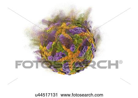 Stock Image - Destruction of Zika virus, illustration. Conceptual image for Zika fever treatment and prevention.. Fotosearch