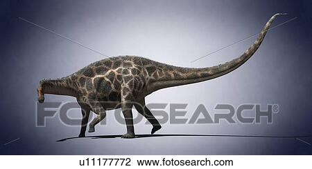 Dicraeosaurus, computer illustration. View Large Photo Image Stock Image - Dicraeosaurus, computer illustration.. Fotosearch