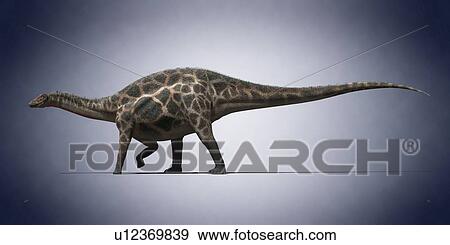 Stock Photo - Dicraeosaurus, computer illustration.. Fotosearch