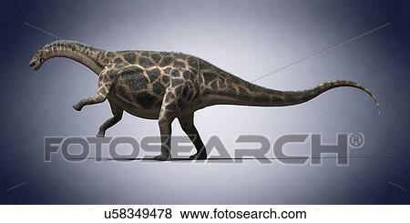 Stock Photo - Dicraeosaurus, computer illustration.. Fotosearch