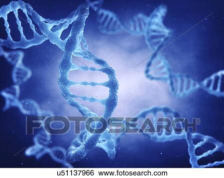 Stock Photograph - DNA (deoxyribonucleic acid) molecule, illustration.. Fotosearch