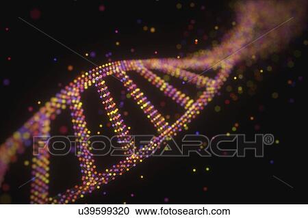 Stock Image - DNA (deoxyribonucleic acid) strand, illustration.. Fotosearch