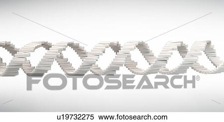 Stock Photography - DNA (Deoxyribonucleic acid) strand against a white background, illustration.. Fotosearch