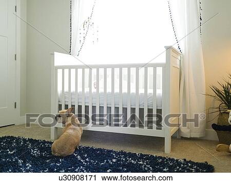Stock Image - Dog sitting by cot. Fotosearch