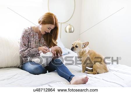 Dog sitting by woman holding her newborn son on bed View Large Photo Image Picture - Dog sitting by woman holding her newborn son on bed. Fotosearch