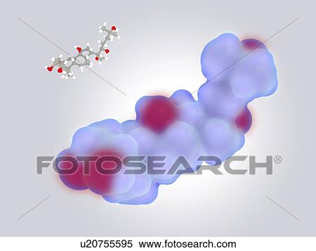 Ecdysterone, molecular models. Computer illustration of the structure of ecdysterone. Ecdysterone (20-hydroxyecdysone or 20E) is a steroid hormone which controls moulting (ecdysis) and development (metamorphosis) in arthropods (e. g. crustaceans). It... View Large Photo Image Stock Photography - Ecdysterone, molecular models. Computer illustration of the structure of ecdysterone. Ecdysterone (20-hydroxyecdysone or 20E) is a steroid hormone which controls moulting (ecdysis) and development (metamorphosis) in arthropods (e. g. crustaceans). It.... Fotosearch
