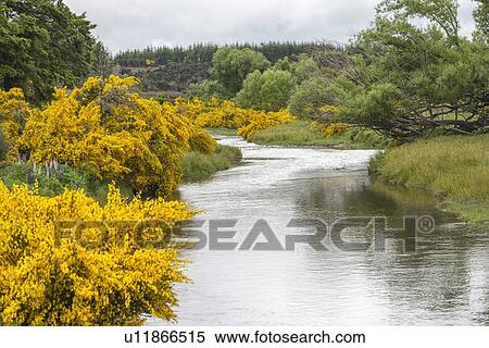 Eglinton River through Te Anau Downs, New Zealand View Large Photo Image Stock Photography - Eglinton River through Te Anau Downs, New Zealand. Fotosearch