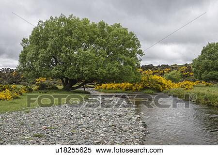 Stock Photography - Eglinton River through Te Anau Downs, New Zealand. Fotosearch