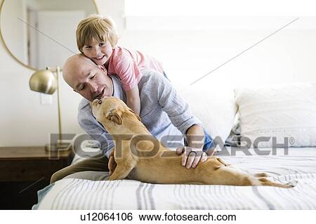 Stock Photograph - Father and son on bed with their dog. Fotosearch
