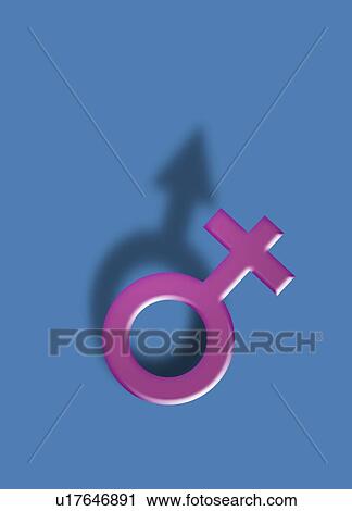 Female symbol with male symbol shadow, illustration. View Large Photo Image Stock Image - Female symbol with male symbol shadow, illustration.. Fotosearch