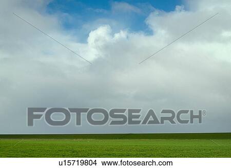 Field landscape with pasture and dyke, Valom, Groningen, Netherlands View Large Photo Image Picture - Field landscape with pasture and dyke, Valom, Groningen, Netherlands. Fotosearch