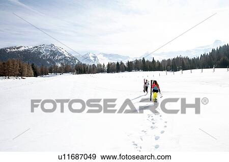 Five teenage girl skiers carrying skis in snow covered landscape, rear view, Tyrol, Styria, Austria View Large Photo Image Stock Photo - Five teenage girl skiers carrying skis in snow covered landscape, rear view, Tyrol, Styria, Austria. Fotosearch