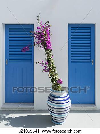 Stock Image - Flowers in vase by blue doors. Fotosearch