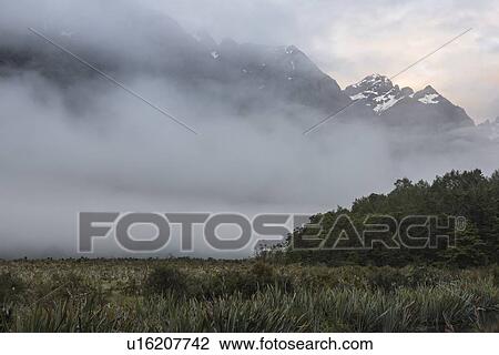 Stock Image - Fog in field at sunrise near Milford Sound, New Zealand. Fotosearch
