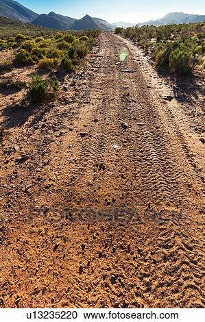 Stock Image - Gravel road in nature reserve, Cape Town, Western Cape, South Africa. Fotosearch