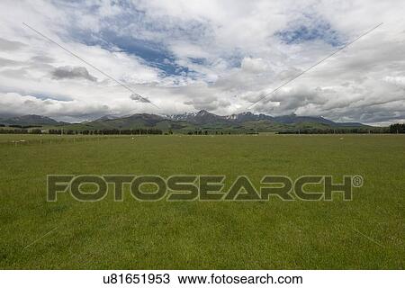 Stock Image - Green field under cloudscape in Te Anau Downs, New Zealand. Fotosearch