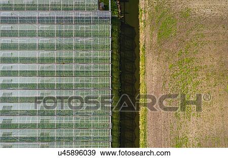 Stock Photo - Greenhouse in the Westland area, part of Netherlands with large concentration of greenhouses, overhead view, Maasdijk, Zuid-Holland, Netherlands. Fotosearch