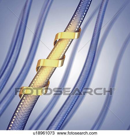 Stock Image - Hair strengthening and repair, conceptual illustration.. Fotosearch
