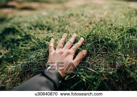 Hand feeling grass View Large Photo Image Stock Image - Hand feeling grass. Fotosearch