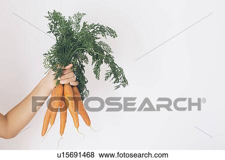 Stock Photo - Hand of young man holding carrots. Fotosearch