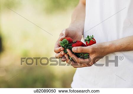 Stock Image - Hands of young man holding strawberries. Fotosearch