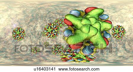 Stock Image - Hepatitis B viruses, 360-degree panorama view, computer illustration. This is a species of the genus Orthohepadnavirus, which is part of the Hepadnaviridae family of viruses.. Fotosearch