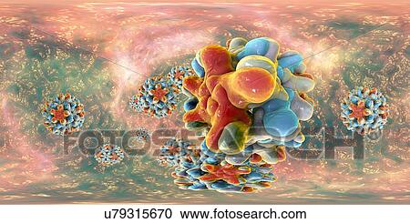 Stock Image - Hepatitis B viruses, 360-degree panorama view, computer illustration. This is a species of the genus Orthohepadnavirus, which is part of the Hepadnaviridae family of viruses.. Fotosearch