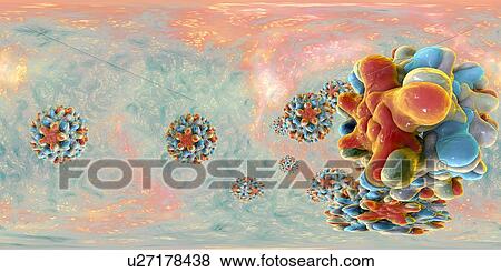 Stock Photo - Hepatitis B viruses, 360-degree panorama view, computer illustration. This is a species of the genus Orthohepadnavirus, which is part of the Hepadnaviridae family of viruses.. Fotosearch