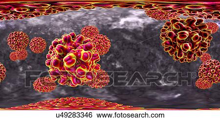 Stock Photograph - Hepatitis B viruses, 360-degree panorama view, computer illustration. This is a species of the genus Orthohepadnavirus, which is part of the Hepadnaviridae family of viruses.. Fotosearch
