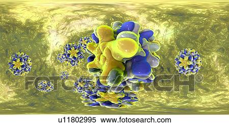 Stock Photography - Hepatitis B viruses, 360-degree panorama view, computer illustration. This is a species of the genus Orthohepadnavirus, which is part of the Hepadnaviridae family of viruses.. Fotosearch