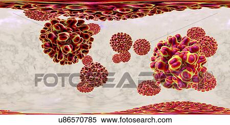 Stock Photography - Hepatitis B viruses, 360-degree panorama view, computer illustration. This is a species of the genus Orthohepadnavirus, which is part of the Hepadnaviridae family of viruses.. Fotosearch