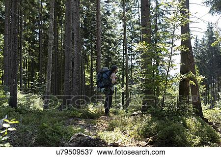 Stock Photo - Hiker in forest. Fotosearch