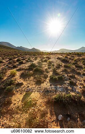 Stock Image - Hot sunny day in nature reserve, Cape Town, Western Cape, South Africa. Fotosearch