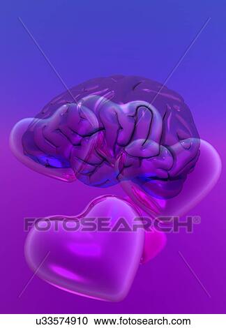 Stock Image - Human brain and heart symbols, computer artwork.. Fotosearch