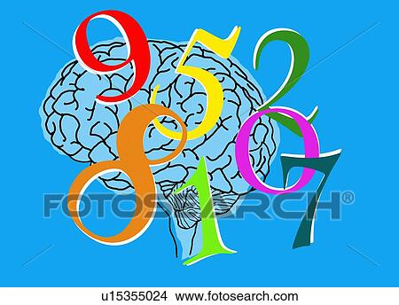 Picture - Human brain and numbers showing synaesthesia, illustration. Fotosearch