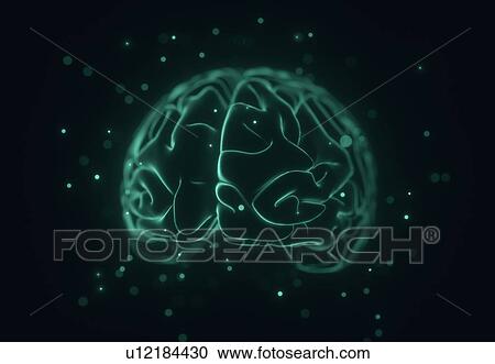 Stock Image - Human brain, illustration.. Fotosearch