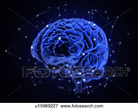 Stock Photo - Human brain networks, illustration.. Fotosearch