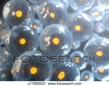 Human cells, computer illustration. View Large Photo Image Stock Photo - Human cells, computer illustration.. Fotosearch