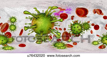 Stock Image - Human cytomegalovirus (HCMV) in blood, 360-degree panorama view, computer illustration. HCMV is a member of the herpesvirus family. It has a high infection rate and is a major cause of disease in vulnerable newborns and immunocompromised patients, but.... Fotosearch