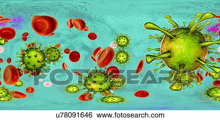 Stock Photograph - Human cytomegalovirus (HCMV) in blood, 360-degree panorama view, computer illustration. HCMV is a member of the herpesvirus family. It has a high infection rate and is a major cause of disease in vulnerable newborns and immunocompromised patients, but.... Fotosearch