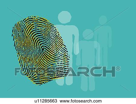 Human fingerprint, illustration. View Large Photo Image Stock Image - Human fingerprint, illustration.. Fotosearch