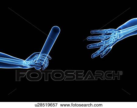 Stock Photo - Human hand passing a relay baton, computer artwork.. Fotosearch