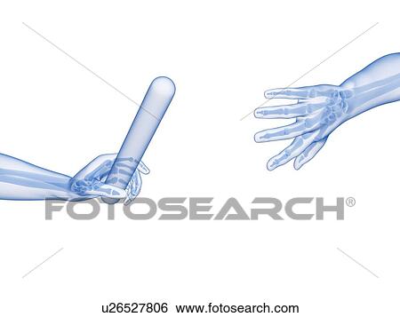 Stock Photograph - Human hand passing a relay baton, computer artwork.. Fotosearch