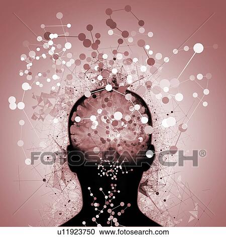 Stock Image - Human head with connecting lines and dots, illustration.. Fotosearch