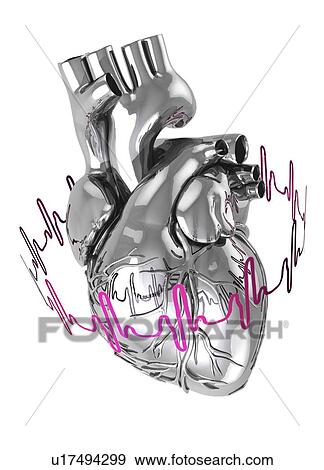 Stock Photo - Human heart, illustration.. Fotosearch