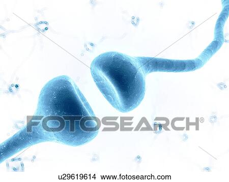 Picture - Human synapse, compute artwork.. Fotosearch