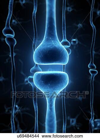 Picture - Human synapse, compute artwork.. Fotosearch
