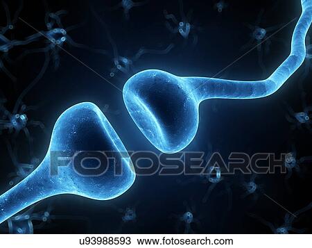 Stock Image - Human synapse, compute artwork.. Fotosearch